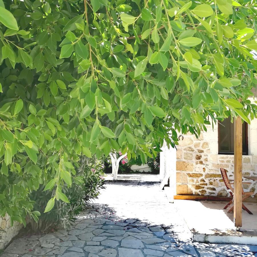 Irini Studios Alykes  Luaran gambar
