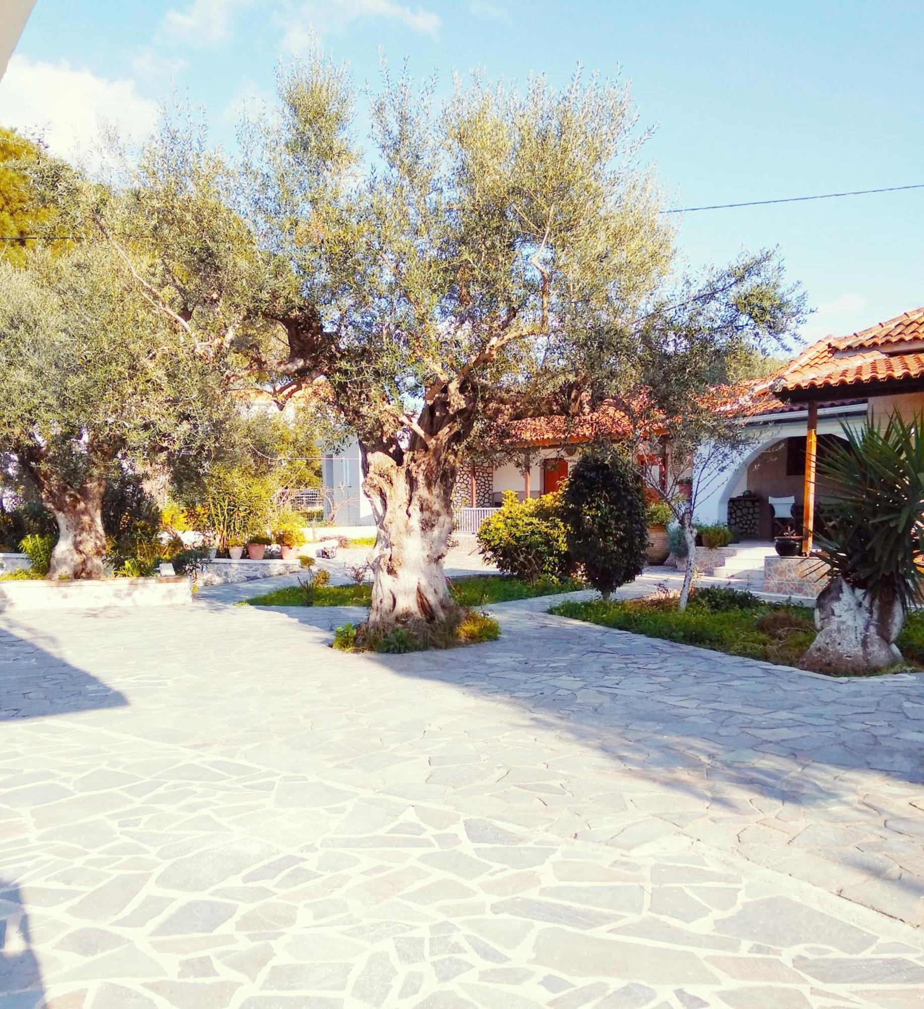 Irini Studios Alykes  Luaran gambar